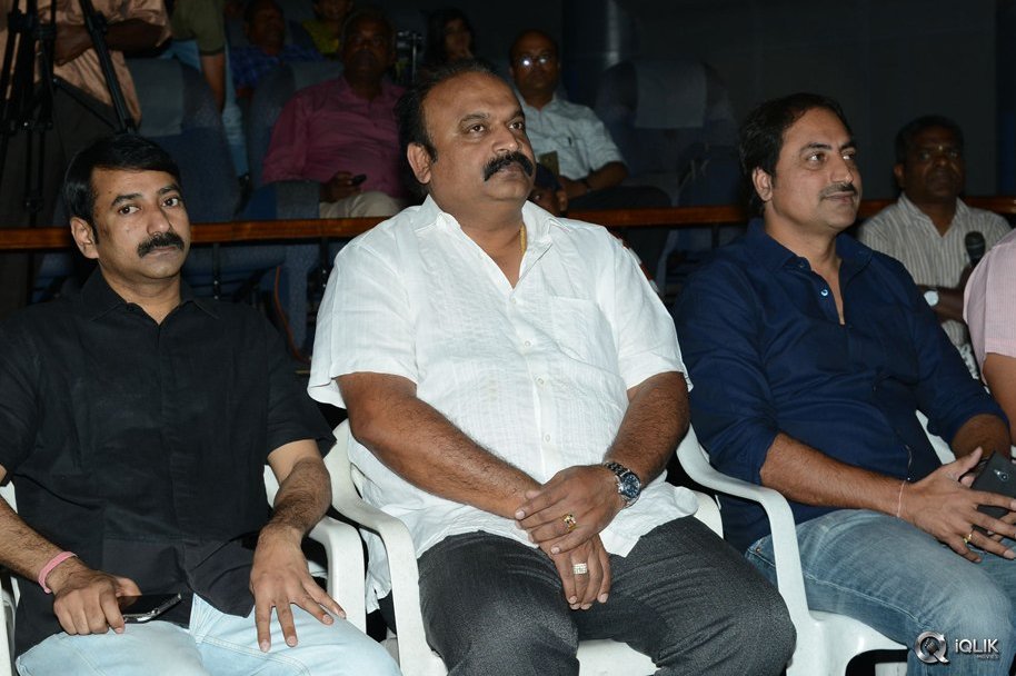 Seethamma-Andaalu-Raamayya-Sithraalu-Movie-Success-Meet